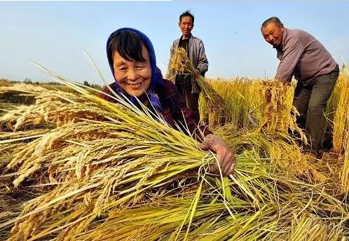 重磅！繼包產(chǎn)到戶之后，我國(guó)農(nóng)村又一次迎來重大改革